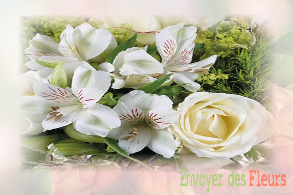 envoyer des fleurs à à SAUGUIS-SAINT-ETIENNE
