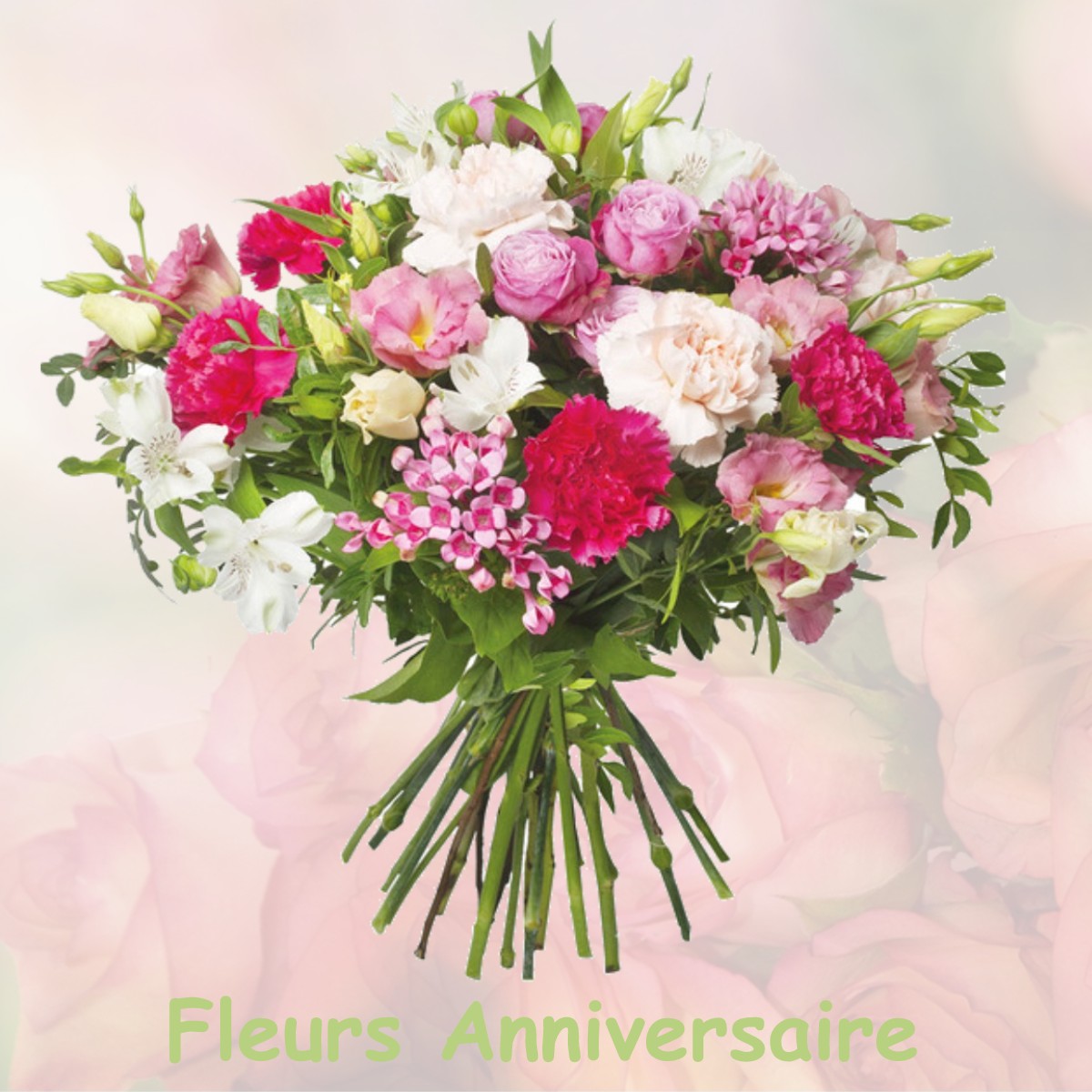 fleurs anniversaire SAUGUIS-SAINT-ETIENNE